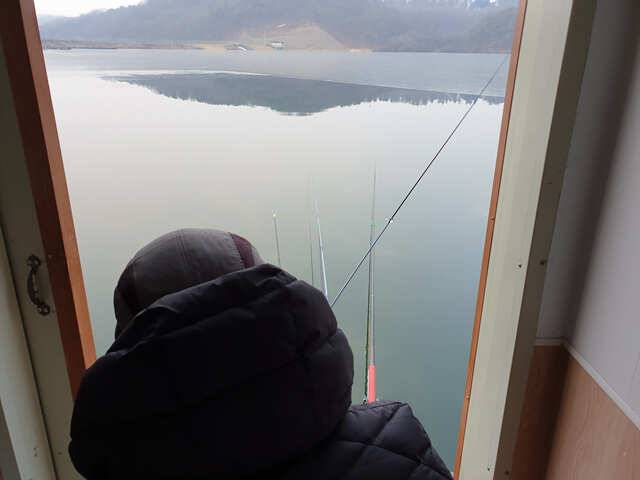 fish_pay_403f3_102147_69891.jpg