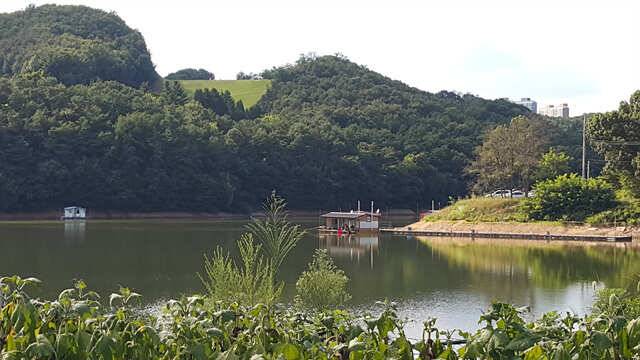 용인 삼인낚시터 주말 조황용인삼인낚시터 (유료터정보 - 유료터점주조황)