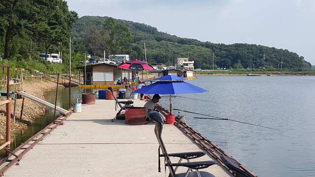 용인 삼인낚시터 주말 조황용인삼인낚시터 (유료터정보 - 유료터점주조황)
