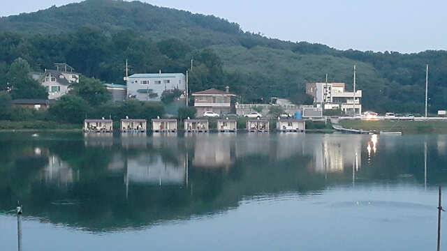 용인 삼인낚시터 소식용인 삼인 낚시터 (유료터정보 - 유료터점주조황)
