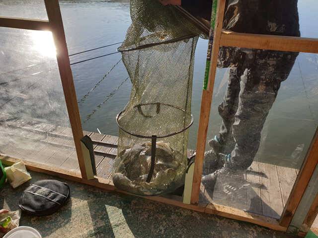물 맑고 힘 좋은 용인 삼인낚시터용인 삼인낚시터 (유료터정보 - 유료터점주조황)