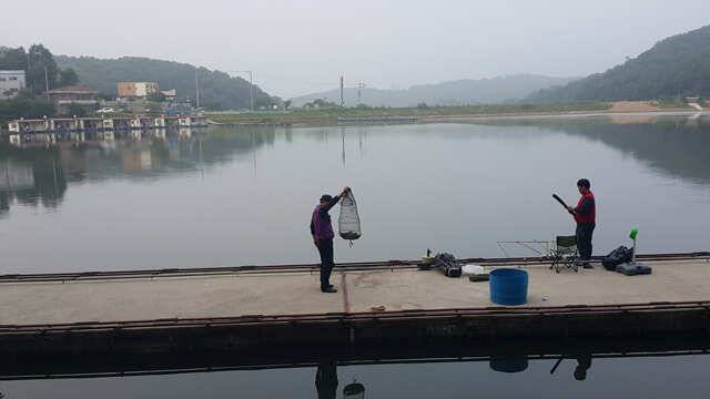 밤낚시가 즐겁습니다용인 삼인낚시터 (유료터정보 - 유료터점주조황)