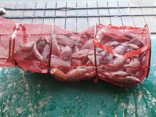 fish_pay_4dee8_024658_74443.jpg