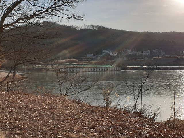 물 맑고 힘 좋은 용인 삼인 낚시터 조황용인 삼인낚시터 (유료터정보 - 유료터점주조황)