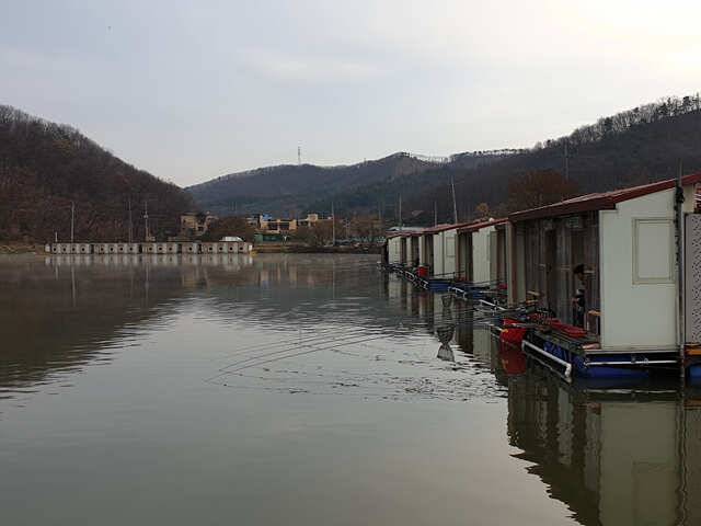 용인 삼인낚시터 주말 조황용인삼인낚시터 (유료터정보 - 유료터점주조황)