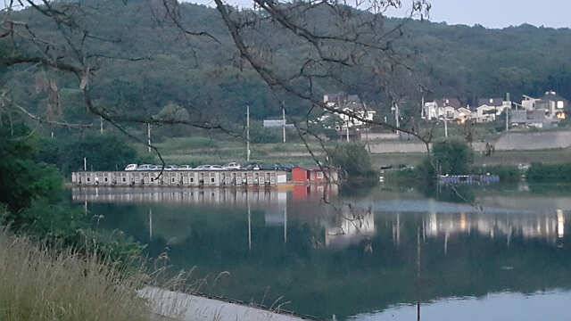 용인 삼인낚시터 소식용인 삼인 낚시터 (유료터정보 - 유료터점주조황)