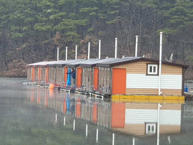 용인 삼인낚시터 주말 조황용인삼인낚시터 (유료터정보 - 유료터점주조황)