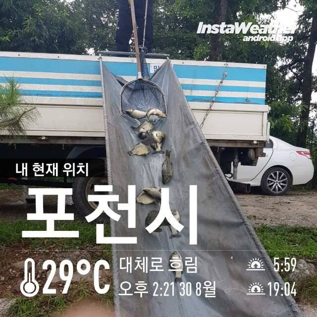 여름끝 가을시즌시작 (유료터정보 - 유료터점주조황)