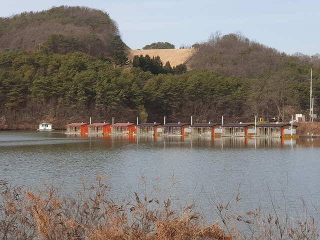 물 맑고 힘 좋은 용인 삼인 낚시터 조황용인 삼인낚시터 (유료터정보 - 유료터점주조황)