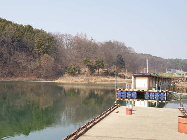 물 맑고 힘 좋은 용인 삼인 낚시터 조황용인 삼인낚시터 (유료터정보 - 유료터점주조황)