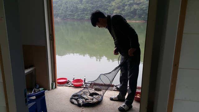 낮낚시 밤낚시에도 붕어 손맛 최고용인삼인낚시터 (유료터정보 - 유료터점주조황)