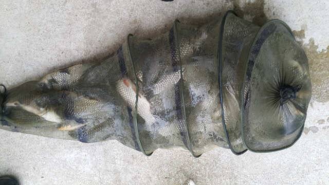 fish_pay_640b6_125541_51218.jpg