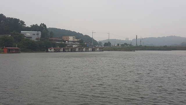 용인 삼인낚시터 소식용인 삼인 낚시터 (유료터정보 - 유료터점주조황)