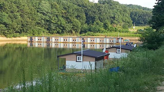 용인 삼인낚시터 소식용인삼인낚시터 (유료터정보 - 유료터점주조황)