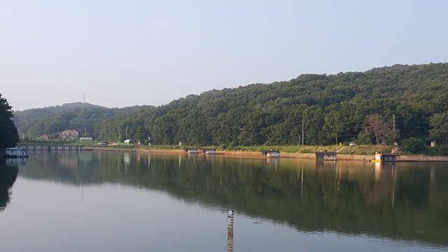 용인 삼인낚시터 소식용인 삼인 낚시터 (유료터정보 - 유료터점주조황)