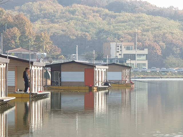 용인 삼인낚시터 주말조황용인 삼인 낚시터 (유료터정보 - 유료터점주조황)