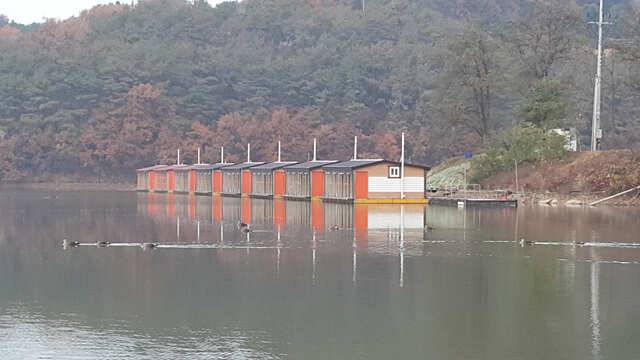 추워지니 더 잘 나오네요용인삼인낚시터 (유료터정보 - 유료터점주조황)