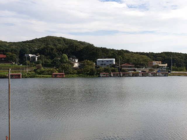 물 맑고 힘 좋은 용인삼인낚시터용인 삼인낚시터 (유료터정보 - 유료터점주조황)