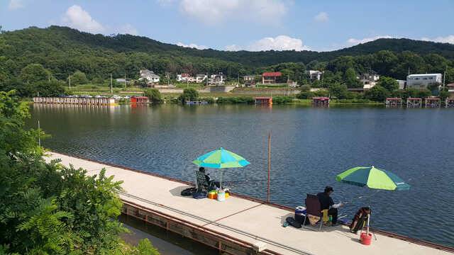 용인 삼인낚시터 주말조황용인 삼인 낚시터 (유료터정보 - 유료터점주조황)