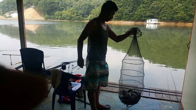 fish_pay_6f6e1_022340_59016.jpg