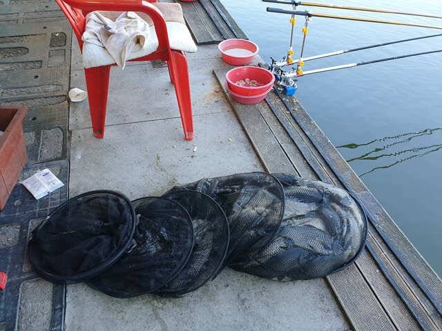 물 맑고 힘 좋은 용인 삼인 낚시터 조황용인 삼인낚시터 (유료터정보 - 유료터점주조황)