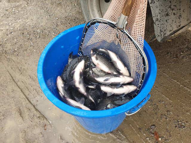 fish_pay_719fd_021428_48975.jpg