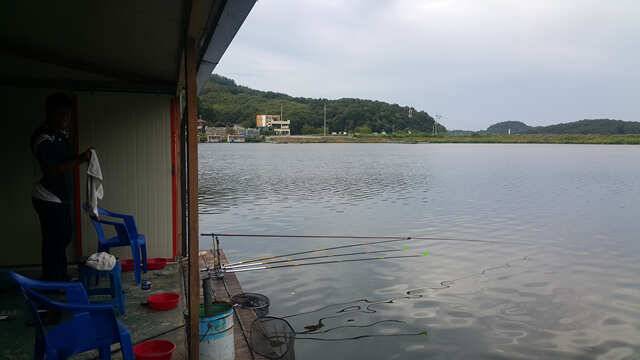 fish_pay_73006_125556_43371.jpg