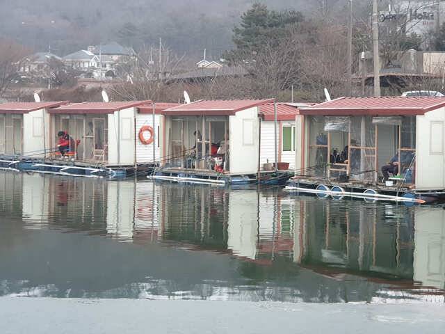새해 복 많이 받으세요용인삼인낚시터 (유료터정보 - 유료터점주조황)