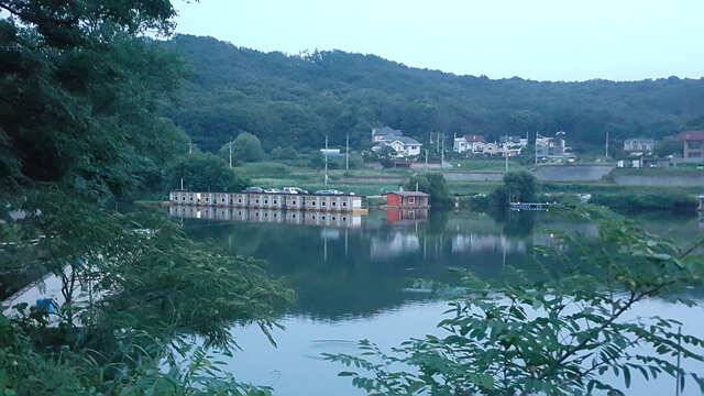 용인 삼인낚시터 소식용인 삼인 낚시터 (유료터정보 - 유료터점주조황)
