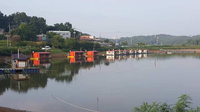 용인 삼인낚시터 소식용인삼인낚시터 (유료터정보 - 유료터점주조황)