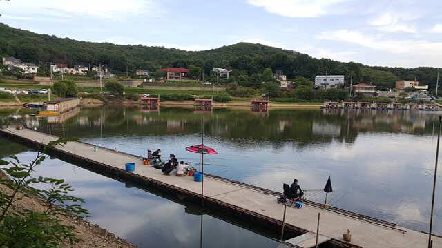 용인 삼인낚시터 주말 조황용인삼인낚시터 (유료터정보 - 유료터점주조황)
