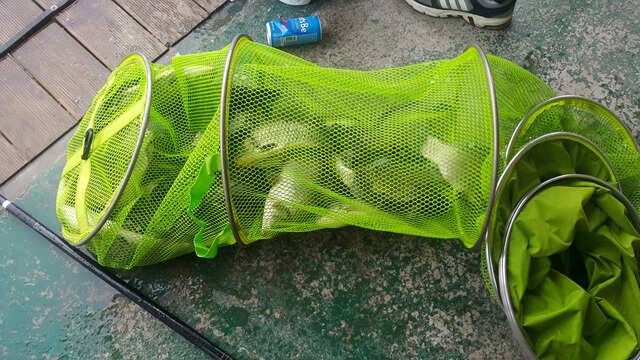 fish_pay_7c687_022410_13825.jpg