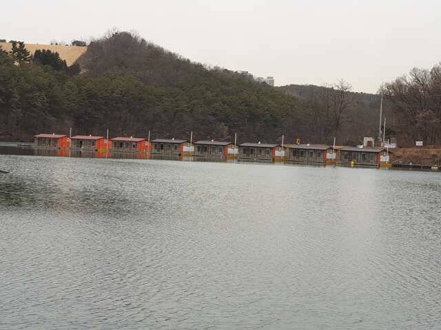 물 맑고 힘 좋은 용인 삼인 낚시터 조황용인 삼인낚시터 (유료터정보 - 유료터점주조황)