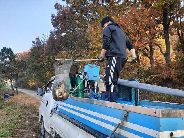 용인 삼인낚시터 주말조황용인 삼인 낚시터 (유료터정보 - 유료터점주조황)
