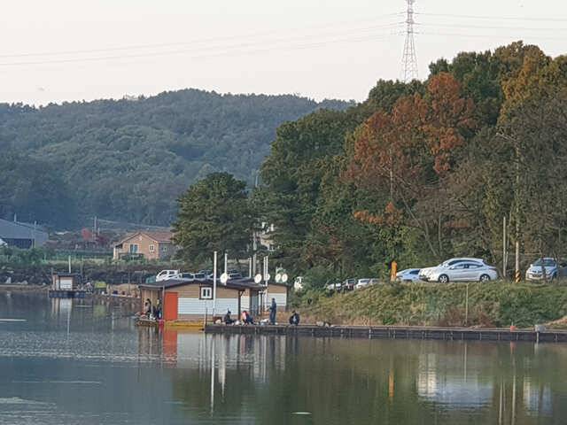 용인 삼인낚시터 주말조황용인 삼인 낚시터 (유료터정보 - 유료터점주조황)