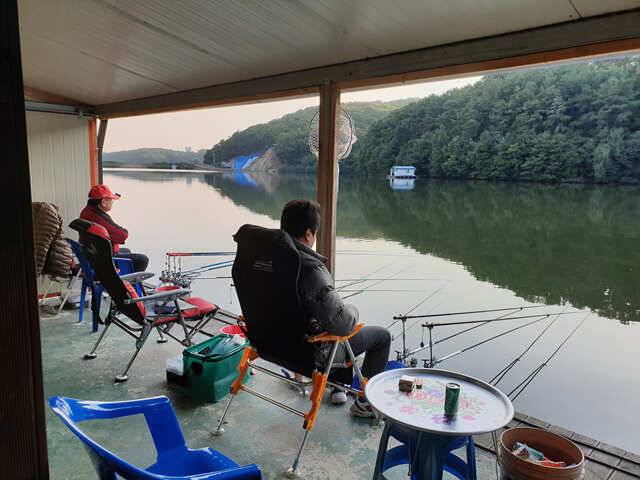 용인 삼인낚시터 주말 조황용인삼인낚시터 (유료터정보 - 유료터점주조황)