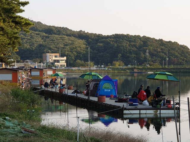 용인 삼인낚시터 주말 조황용인삼인낚시터 (유료터정보 - 유료터점주조황)
