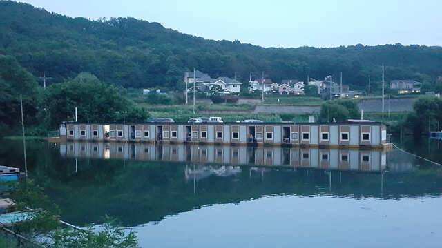 용인 삼인낚시터 소식용인 삼인 낚시터 (유료터정보 - 유료터점주조황)