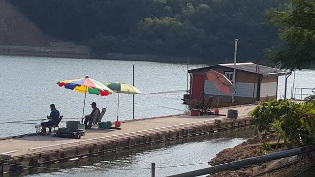 용인 삼인낚시터 주말 조황용인삼인낚시터 (유료터정보 - 유료터점주조황)