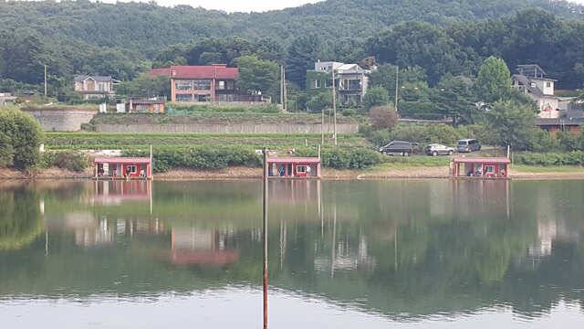 물 맑고 힘 좋은 용인 삼인 낚시터 조황용인 삼인낚시터 (유료터정보 - 유료터점주조황)