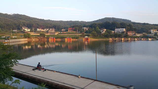 용인 삼인낚시터 소식용인 삼인 낚시터 (유료터정보 - 유료터점주조황)
