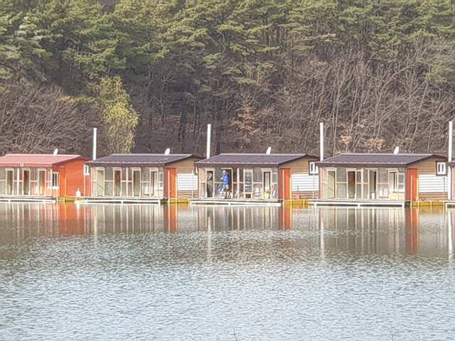 물 맑고 힘 좋은 용인 삼인 낚시터 조황용인 삼인낚시터 (유료터정보 - 유료터점주조황)