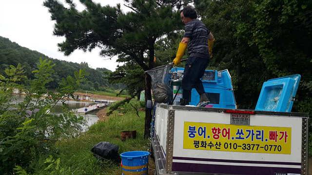 태풍피해 없으시길 바랍니다용인 삼인낚시터 (유료터정보 - 유료터점주조황)