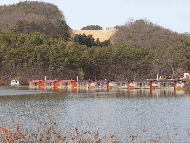 물 맑고 힘 좋은 용인 삼인 낚시터 조황용인 삼인낚시터 (유료터정보 - 유료터점주조황)