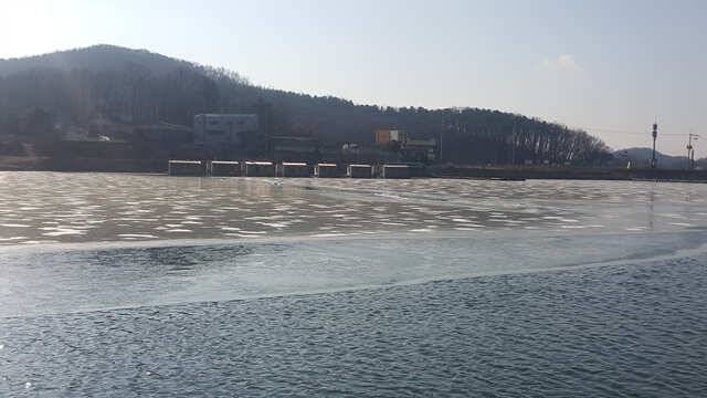삼인낚시터 소식용인 삼인낚시터 (유료터정보 - 유료터점주조황)