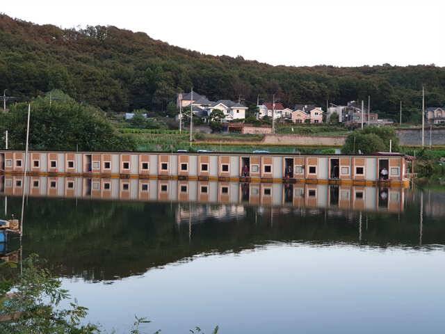 물 맑고 힘 좋은 용인 삼인낚시터용인 삼인낚시터 (유료터정보 - 유료터점주조황)
