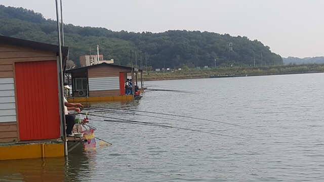 연휴시작조황도up용인삼인낚시터 (유료터정보 - 유료터점주조황)