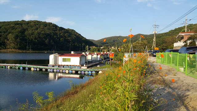 가장 이상적인 조황용인삼인낚시터 (유료터정보 - 유료터점주조황)