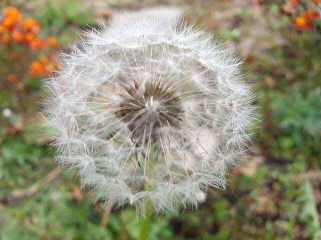 오랜만에 대박입니다용인삼인낚시터 (유료터정보 - 유료터점주조황)