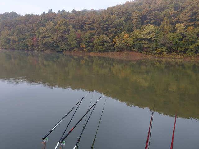물 맑고 힘 좋은 용인 삼인 낚시터 조황용인 삼인낚시터 (유료터정보 - 유료터점주조황)